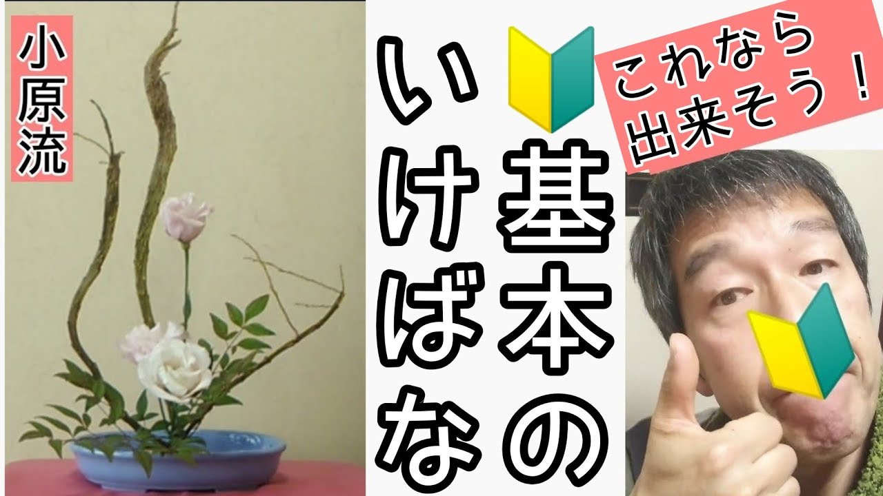 🔰生け花　初心者向け　小原流　花意匠　たてるかたちのポイントをおさえよう　基本の盛花　始めよういけばな　レッスン！
