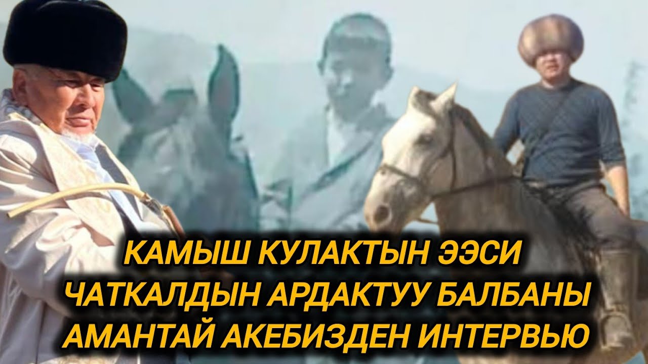 Камыш кулактын ээси Чаткалдын ардактуу балбаны Амантай акебизден интервью🇰🇬