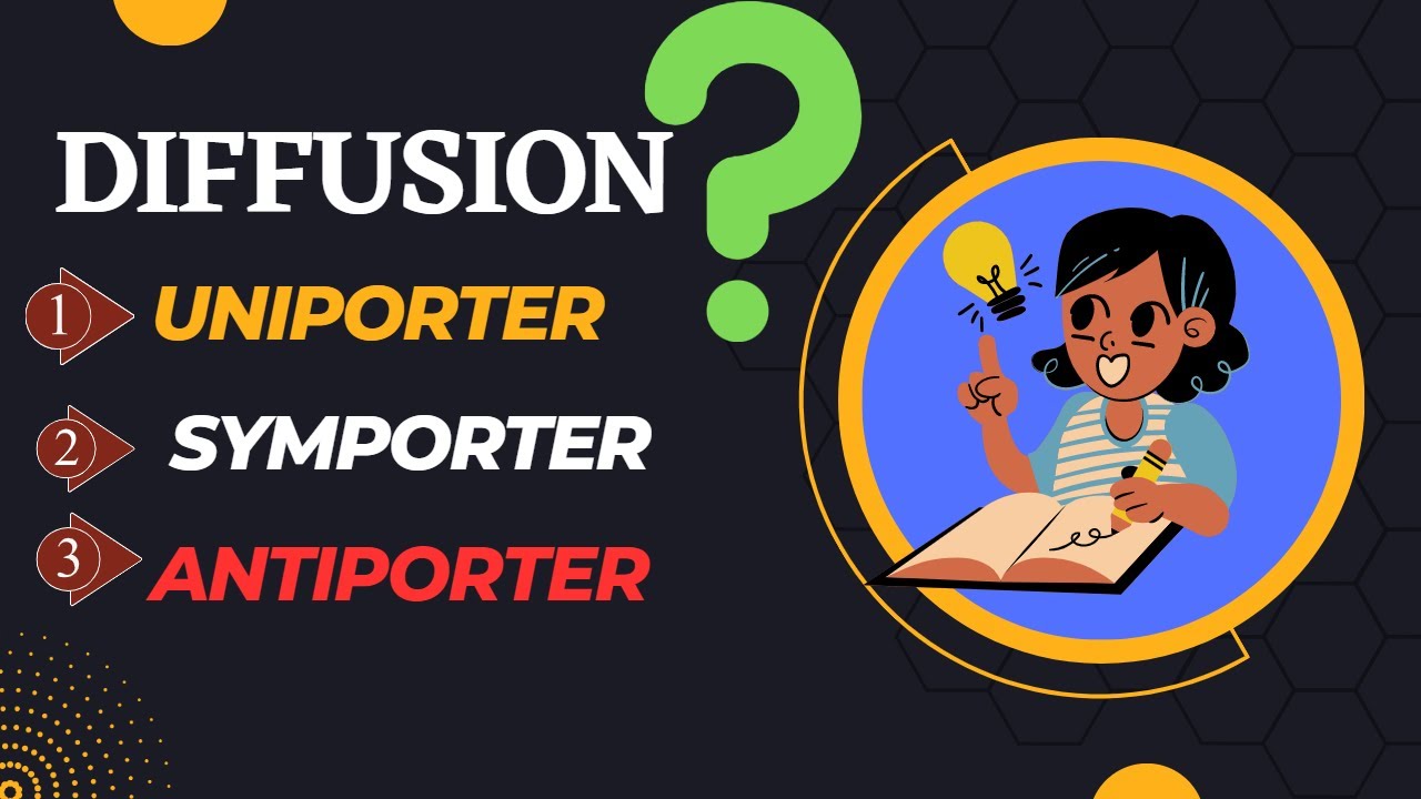 Diffusion | Uniporter | Symporter | Antiporter | Cell membrane channel | Biochemistry