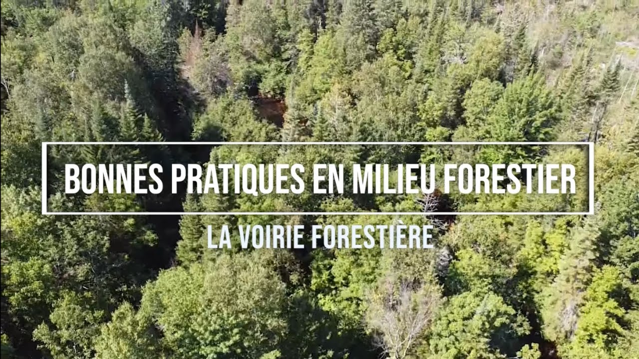 Bonnes pratiques en forêt pour protéger l'eau / Voirie forestière