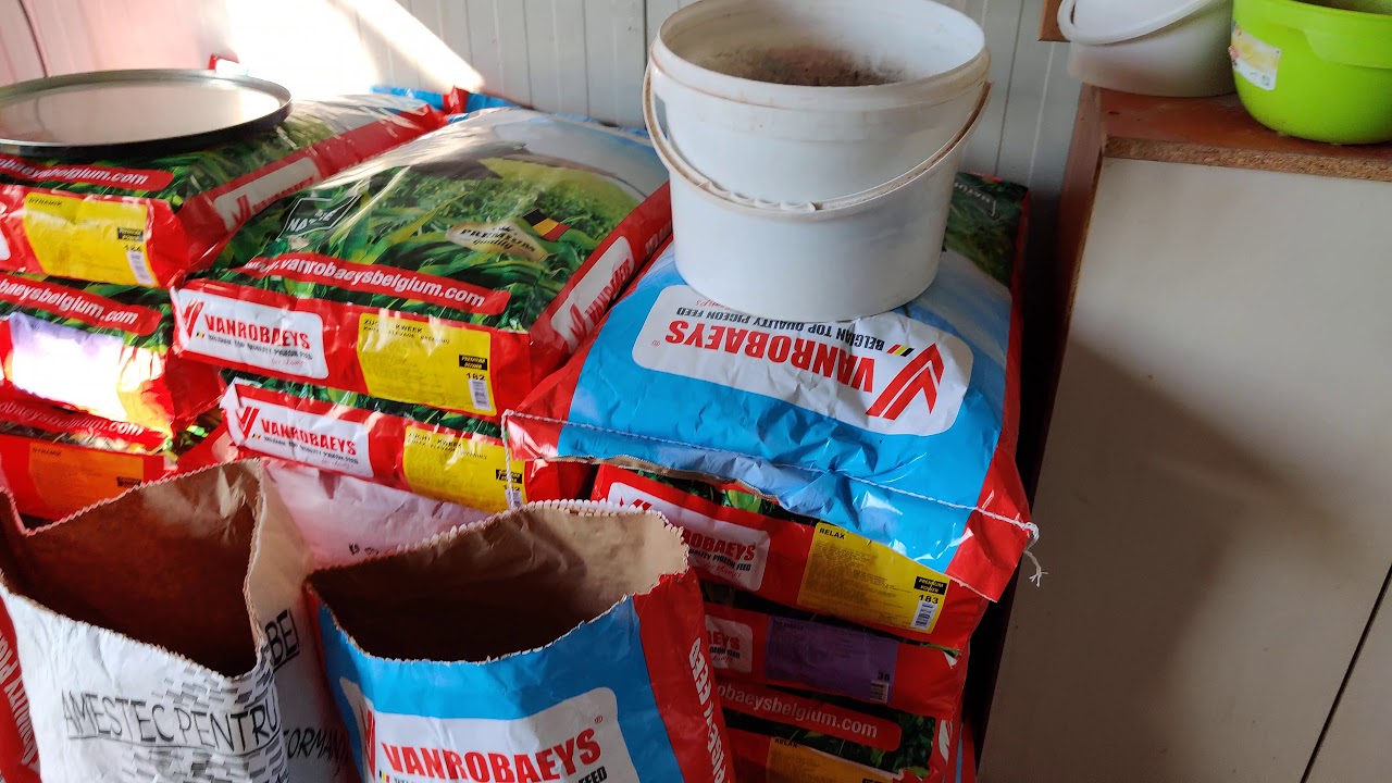 Despre hrana, produse de condiționare și grit