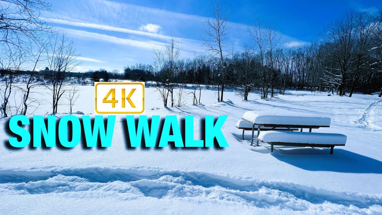 4K SNOW WALK | Frozen Lake | Virtual Winter Walk | 4k Walk Video