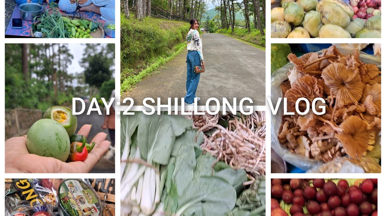 Day 2: Shillong/Aaj main gayi Hospital aur Bara Bazaar🥰/NEIGRIHMS/peach🍑plum/Shillong vlog/Meghalaya