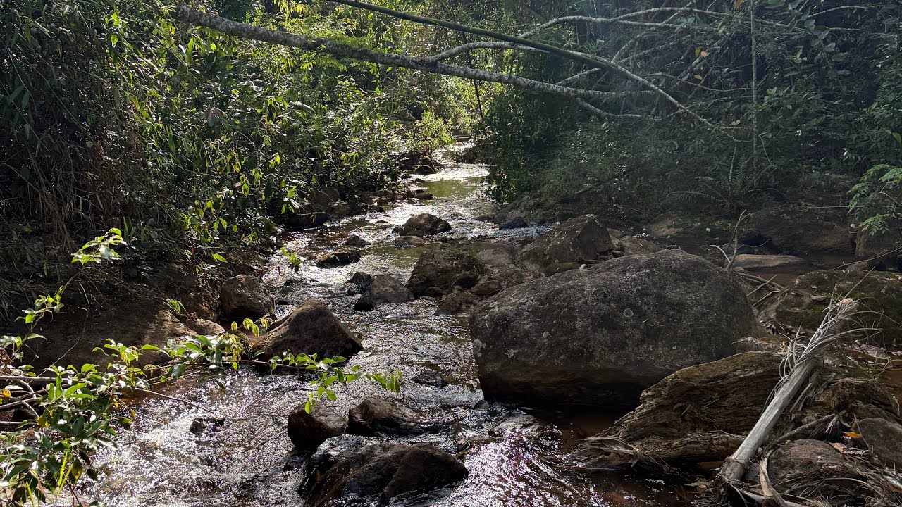 Cachoeira de Santa Teresa-ES | Um Lugar Perfeito para Turistas