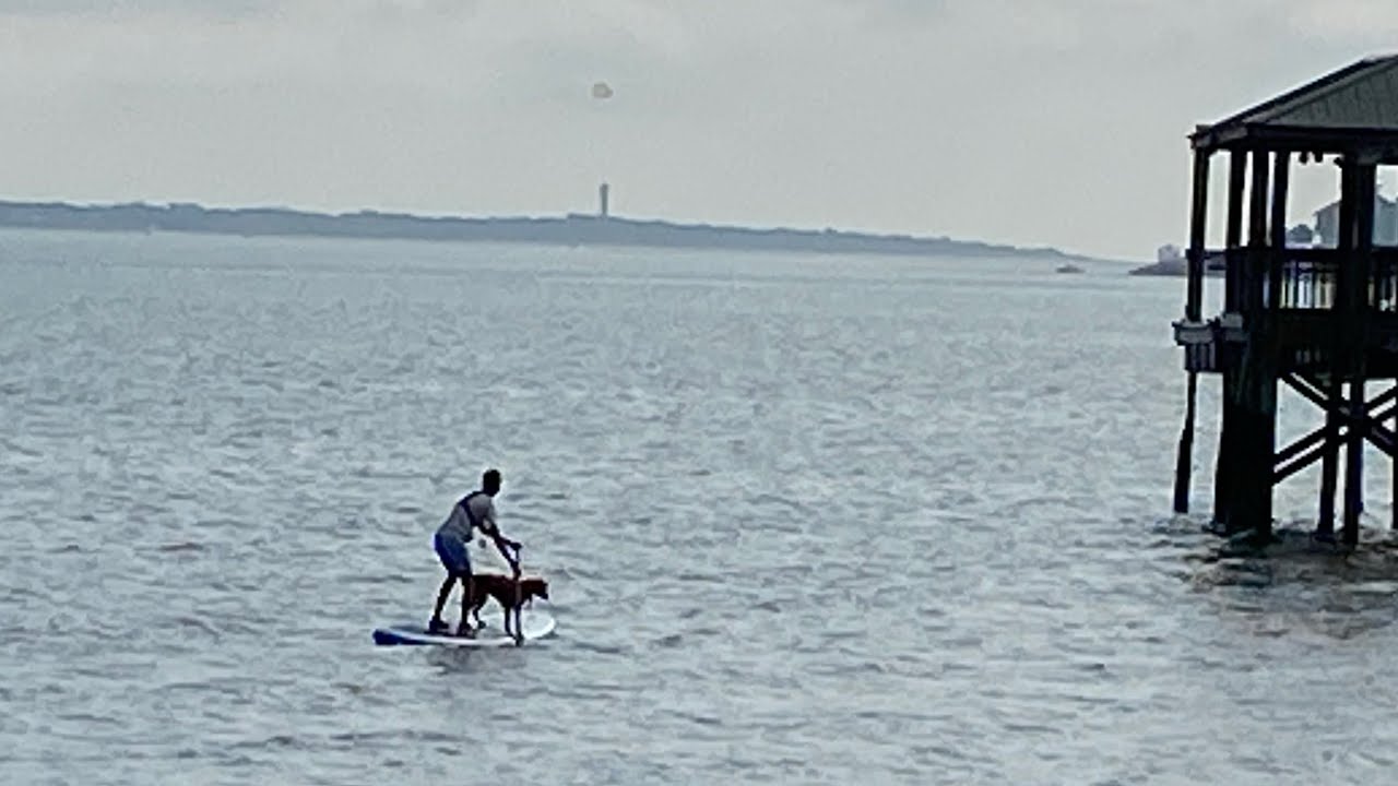 Paddle Boarding for the First time with my Dog on an Inflatable SUP