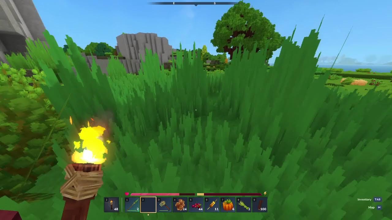 Hytale break from homework