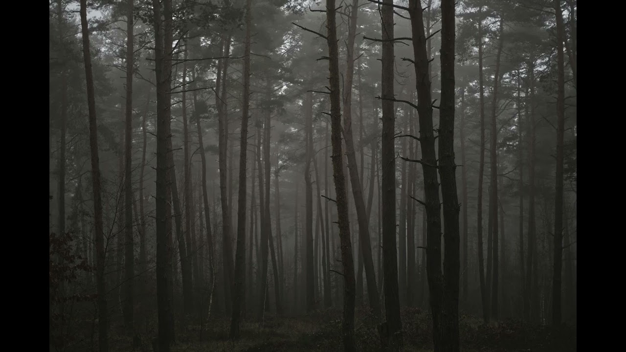Something's Out There (Orchestra) - Eric Rieger