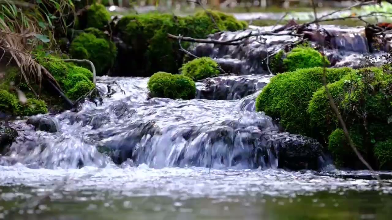 Peaceful Flowing River