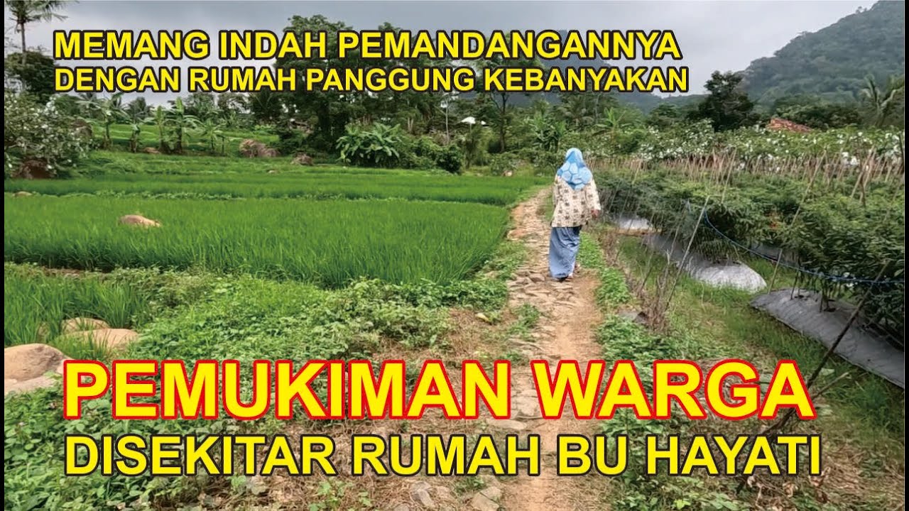TERNYATA DI KAMPUNG BU HAYATI ITU BENAR BENAR INDAH DAN MENAWAN DENGAN CIRI KHAS RUMAH PANGGUNG