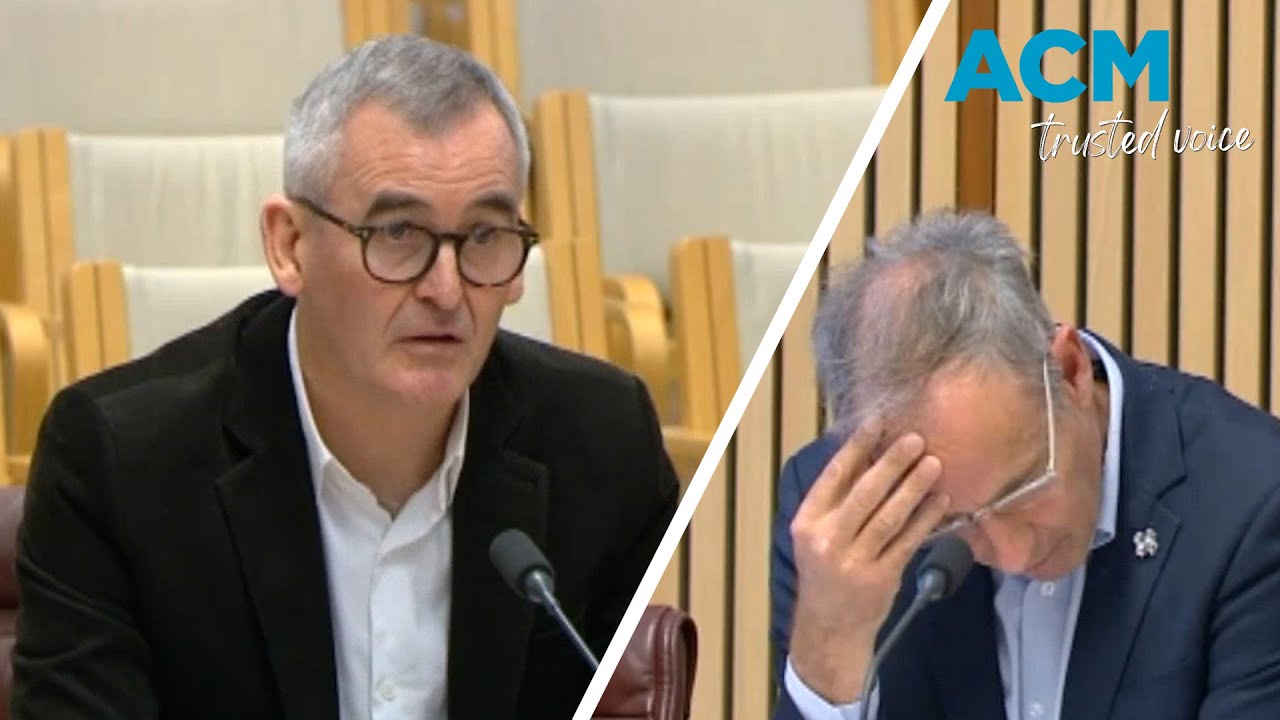 Гендиректору Woolworths грозит тюремное заключение из-за расследования сенатом ценообразования в ...
