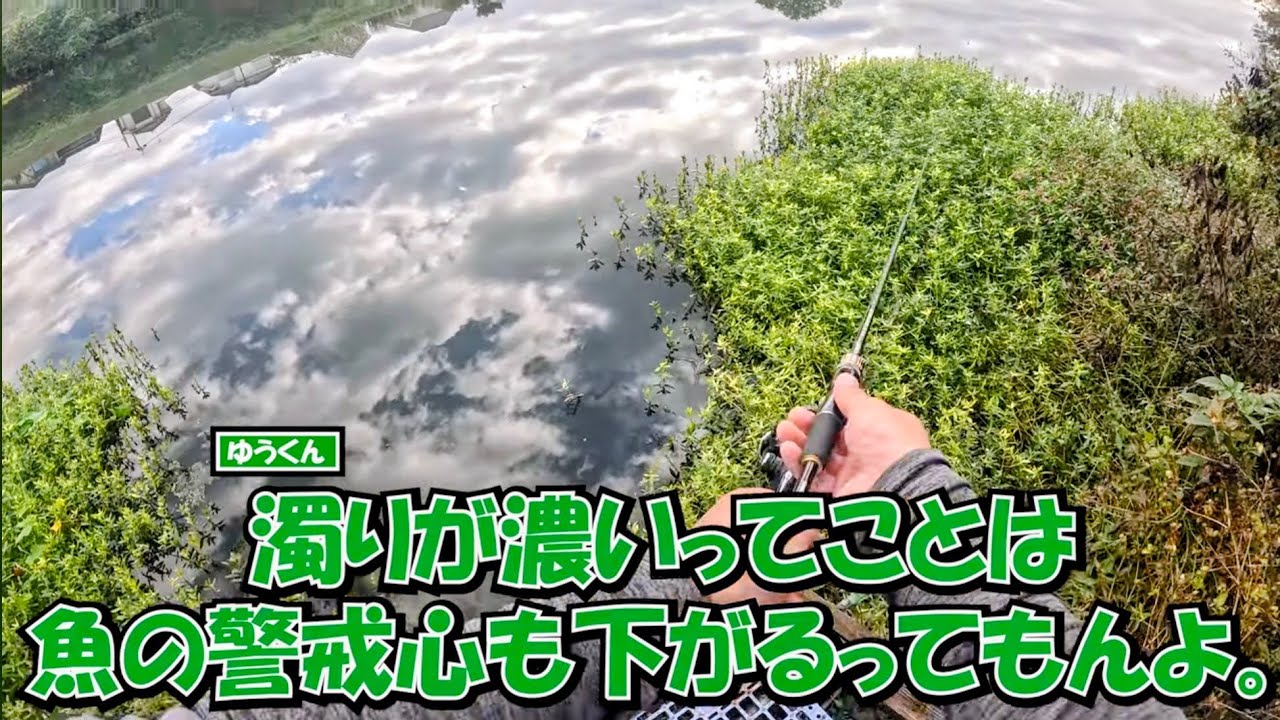 ゆう君釣りに行く