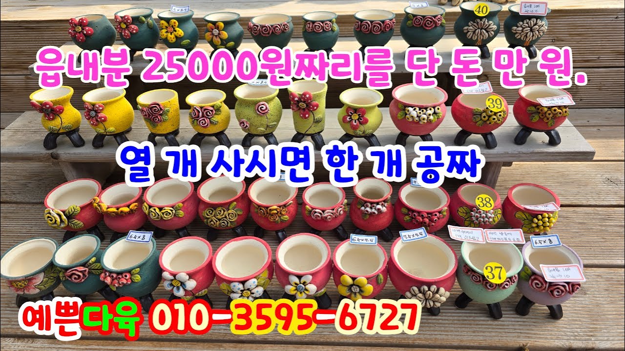 251103📍#예쁜다육 소담분 누누분 바이수분 웨인분 꽃향기분 달팽이분 일사분 숙분 고센분 인동분 윤분 휘경분 윤공방분 지당분