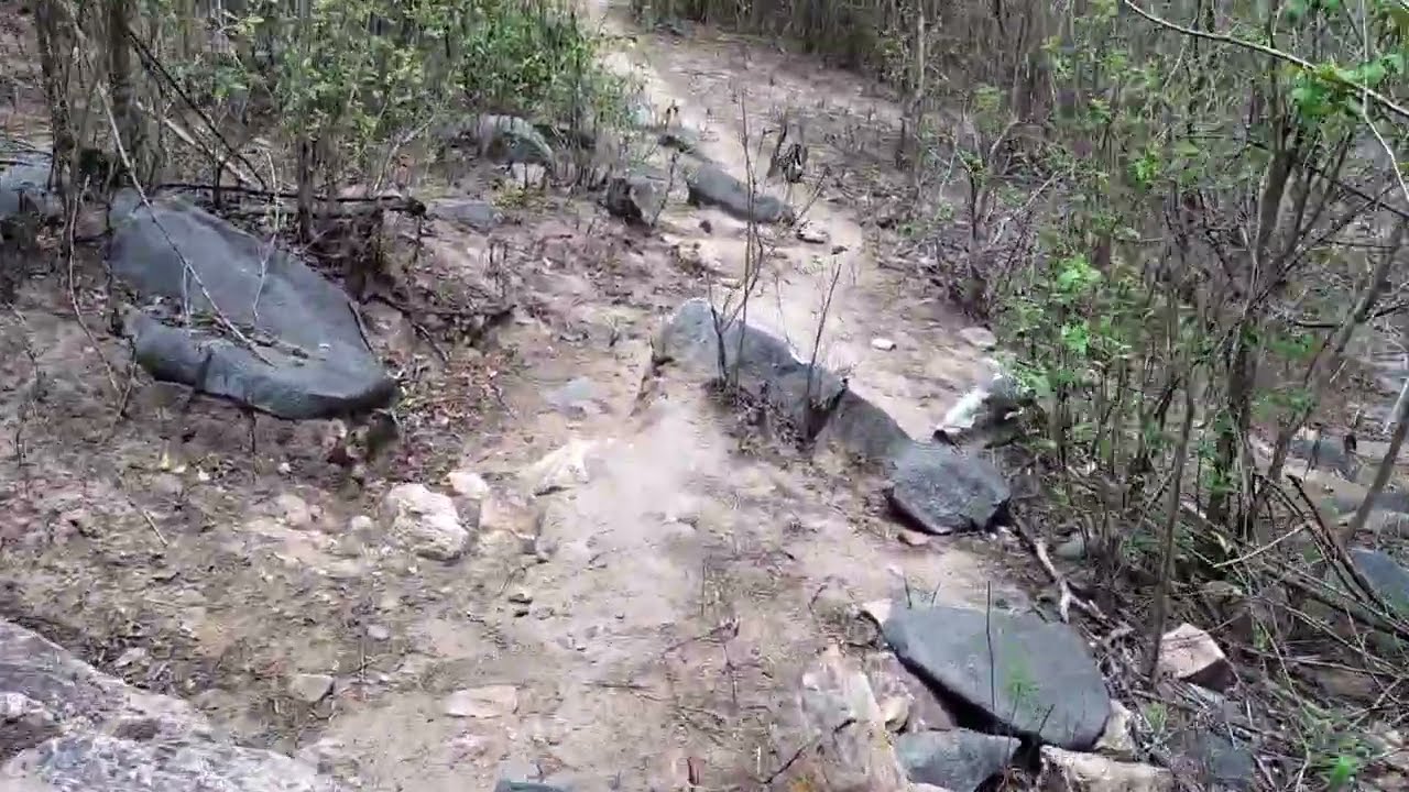 NO CERRADO DO AGRESTE PERNAMBUCO E AS RIQUEZAS 