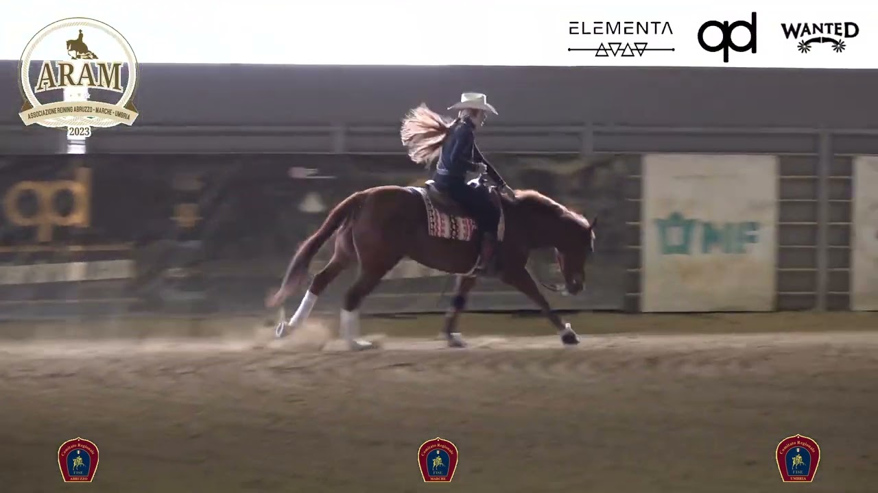 1 show ARAM 2026 - POLONIO CAROLINA & PALERMO RED ZONE 76 score 70