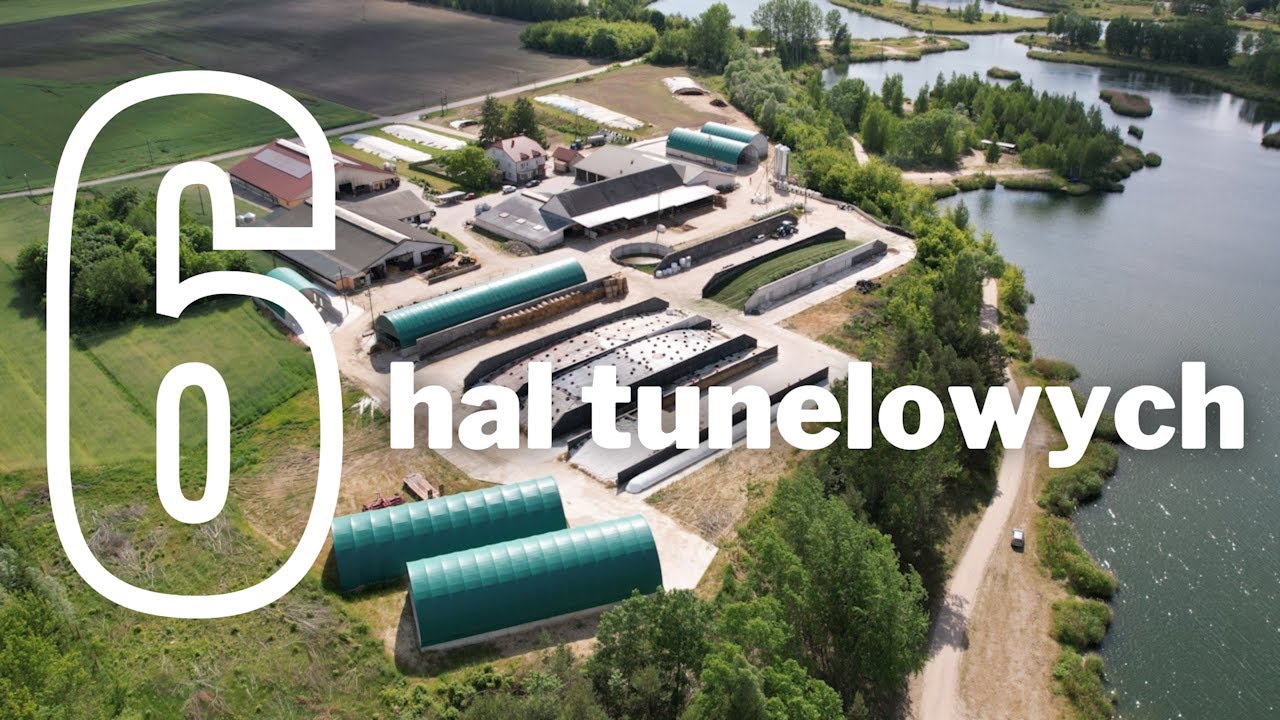 ARBENA | 6 hal tunelowych w gospodarstwie rolnym