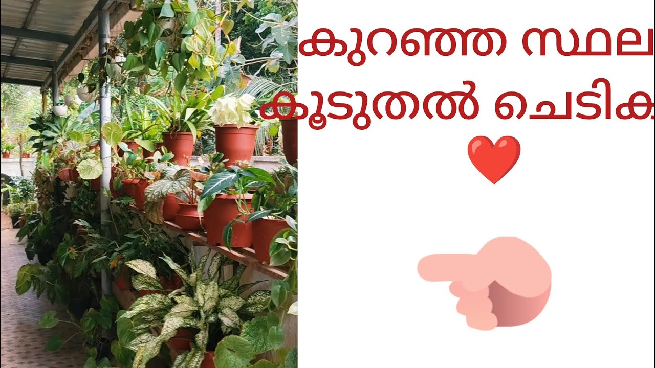 കാർപോർച്ചിലെ ചെടികൾ.. കുറഞ്ഞ സ്ഥലം കൂടുതൽ ചെടികൾ ❤️❤️❤️❤️