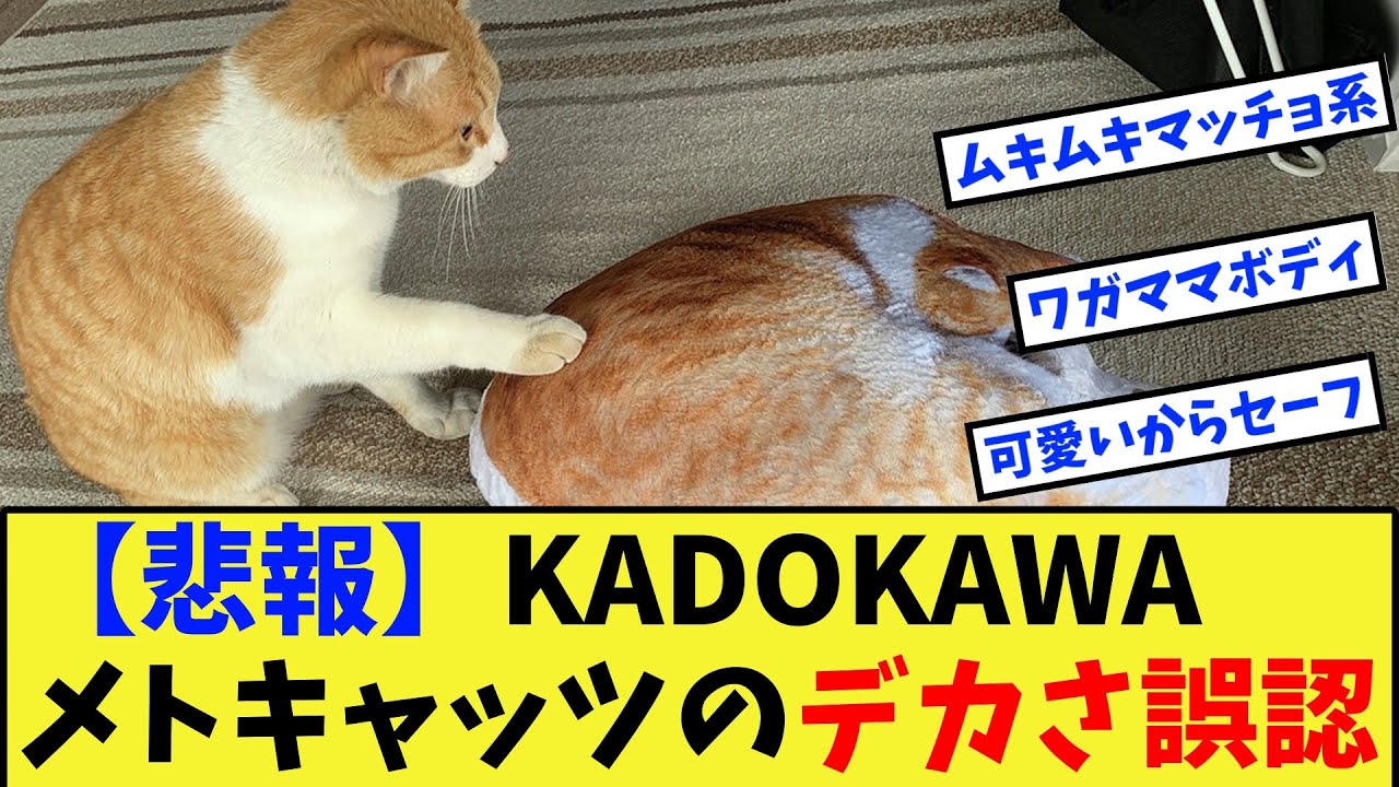 【競馬】【悲報】KADOKAWA、メトさんの等身大クッション製作でデカさを誤認に対する反応集【競馬の反応集】