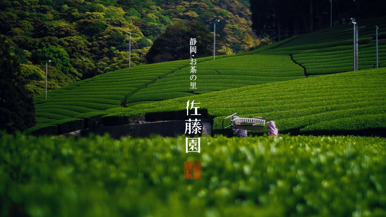 静岡・お茶の佐藤園