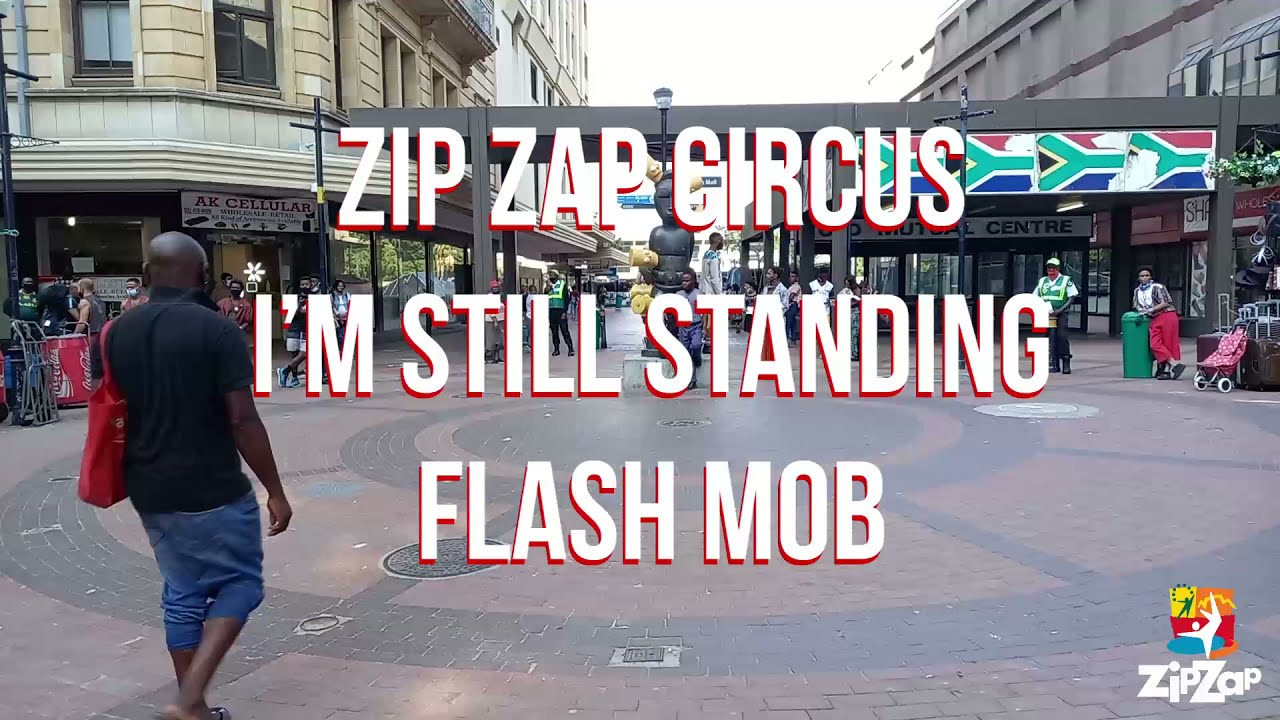 Zip Zap Circus 