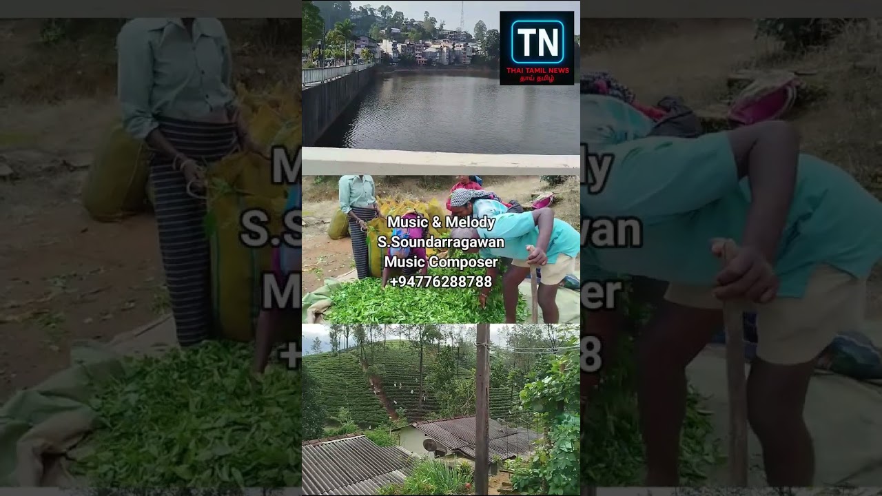 மலையக மக்களின் வலிகளை சித்தரிக்கும் நம் நாட்டு களைஞர்களின் வடிவமைப்பில் உருவான அழகிய பாடல்