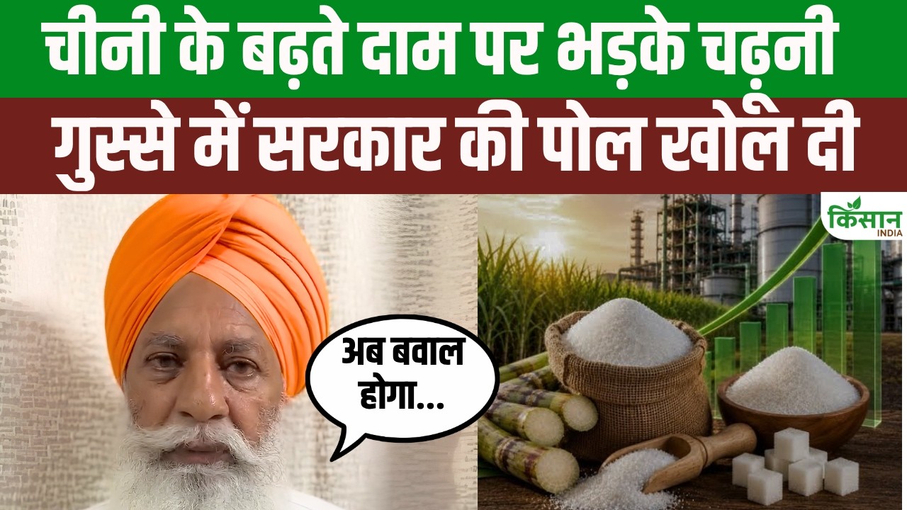 Sugar Price Hike: Gurnam Singh Charuni furious over rising sugar prices, farmers to protest
