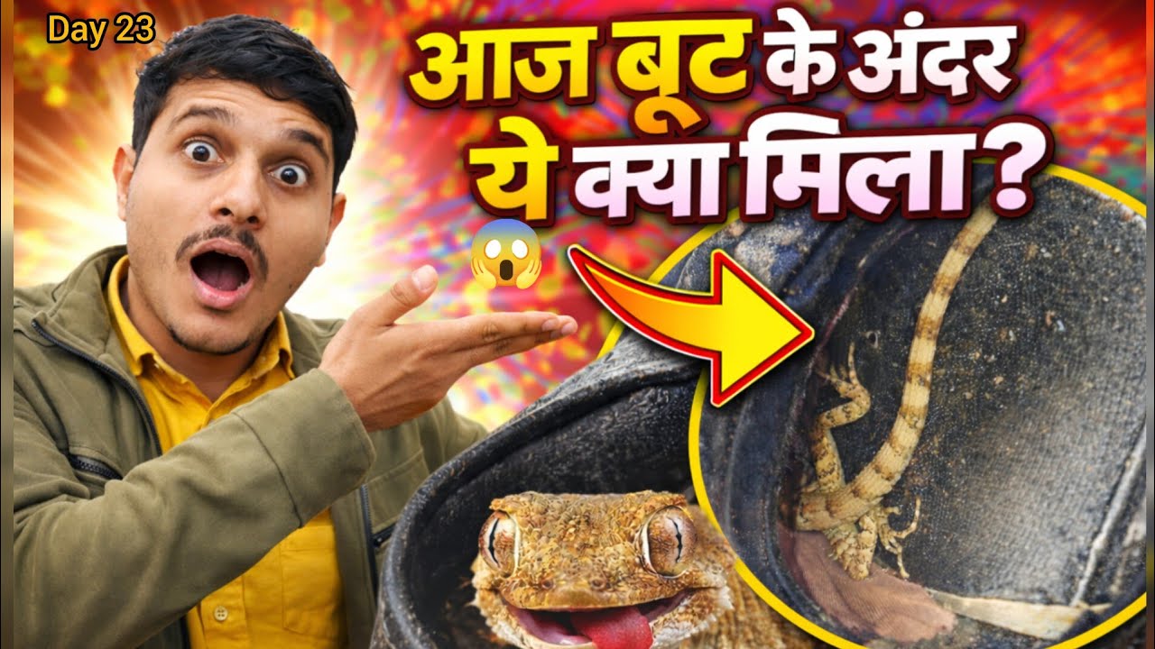 आज बूट के अन्दर से ये क्या मिला 😱 देखकर चौंक गए day 24 #chikupanditvlogs#newvlog#vlog#dailyvlogs