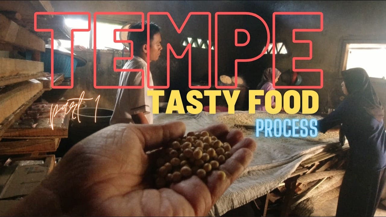 How to Make Tasty Indonesian Tempe | Tempe Traditional Process Part 1