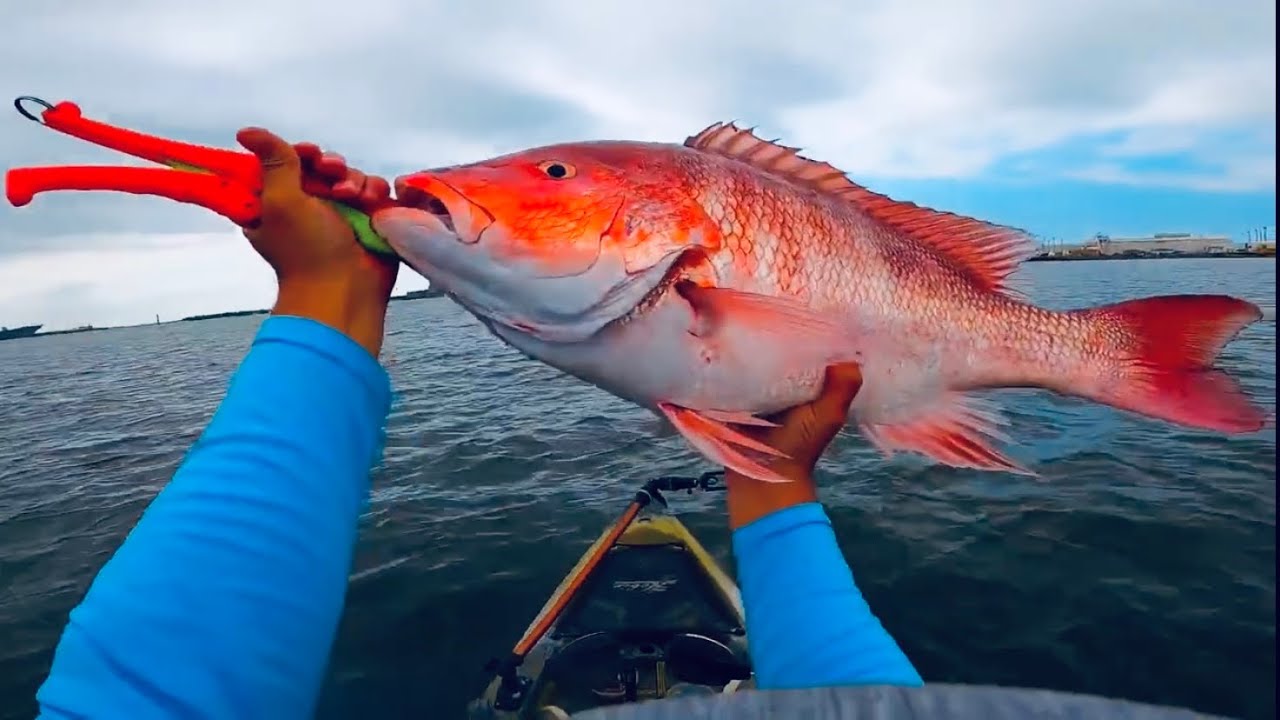 Fish of a LIFETIME caught while kayaking the Mississippi Gulf Coast!
