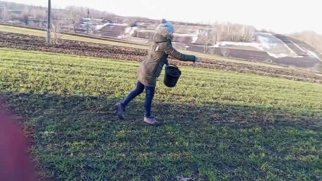 Підживлення пшениці, встановлення теплиці і роди у козиці 😅😴