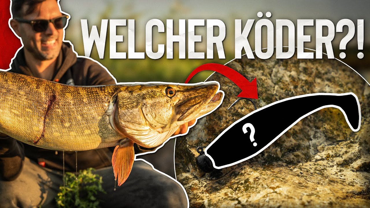 Ich MUSS diesen Köder fischen! 🫣 Training für die 