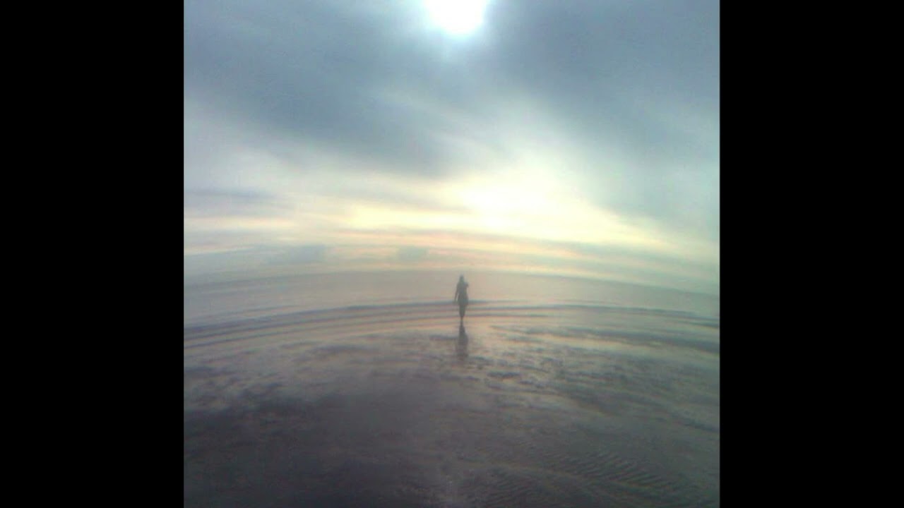 free gunnr + bladee + jane remover type beat livefast