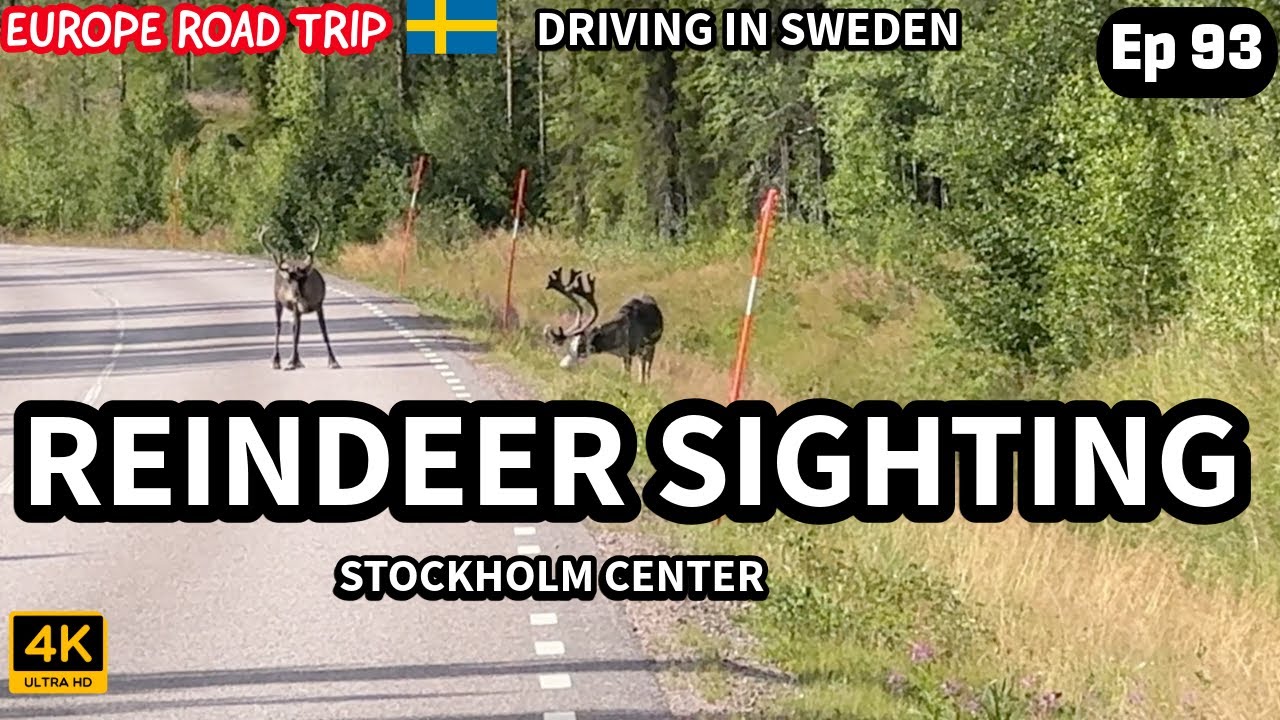 Ep. 93 - Driving in Sweden - Reindeer Sighting - Stockholm Center