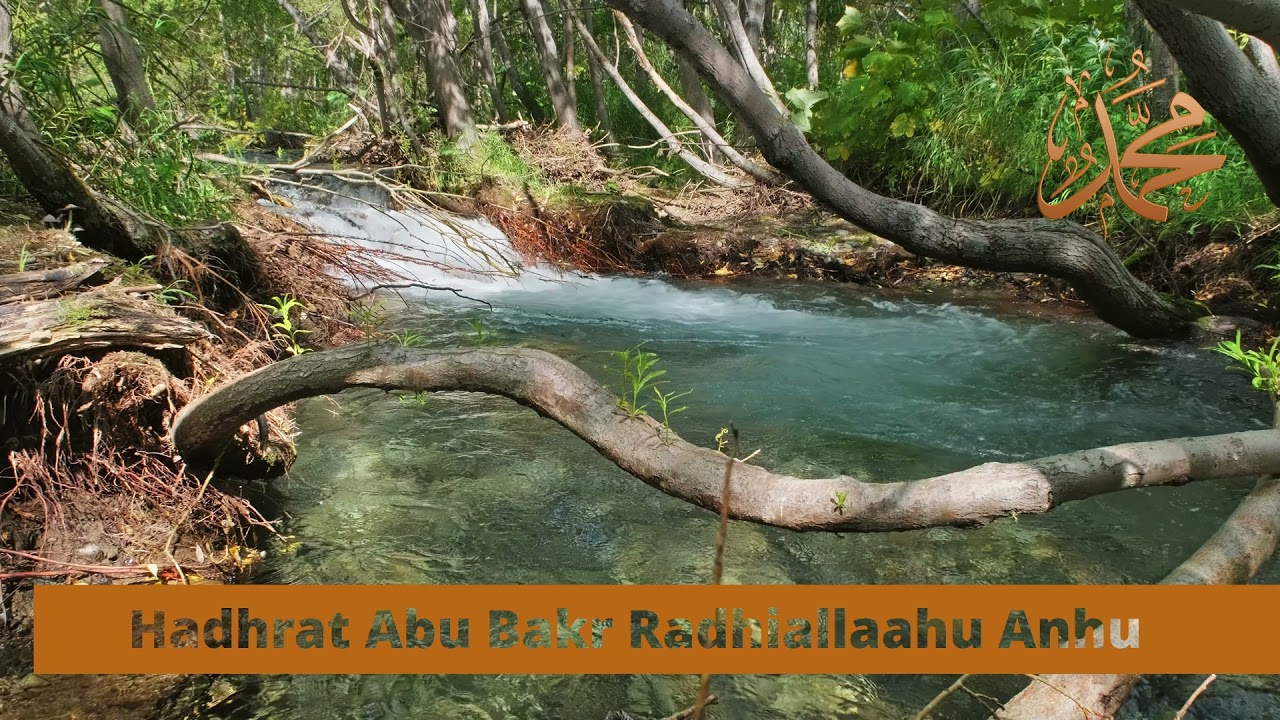 Hadhrat Abu Bakr Radhiallaahu Anhu -The Sahaabah Series by Shaykh Ubaidullah Ebrahim