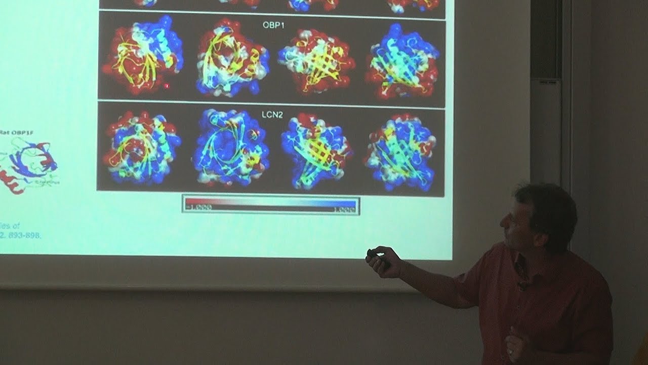 Pavel Stopka - Co jsou feromony a kde se vyrábí (Pátečníci 22.6.2018)