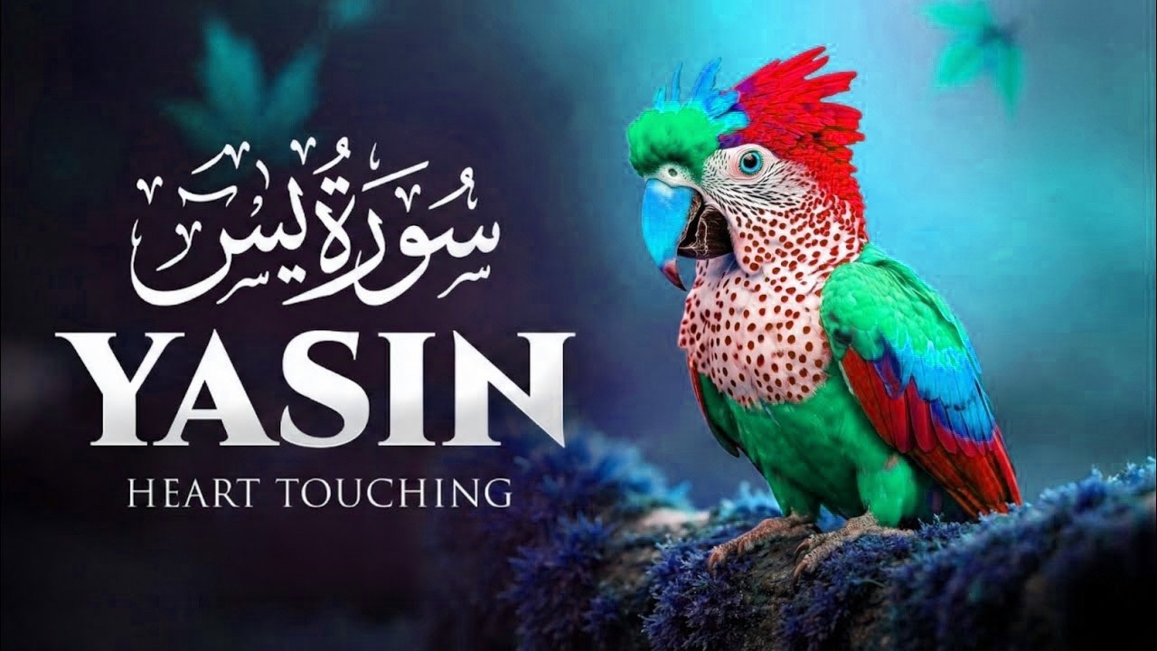 Surah Yaseen (Yasin) | Surah Rahman | Surah Waqiah | Surah Mulk | Shaikh Abdul Rahman Al Sudais 2026