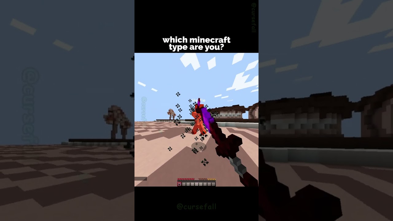 What Type Of Minecraft Player Are YOU? 🤔