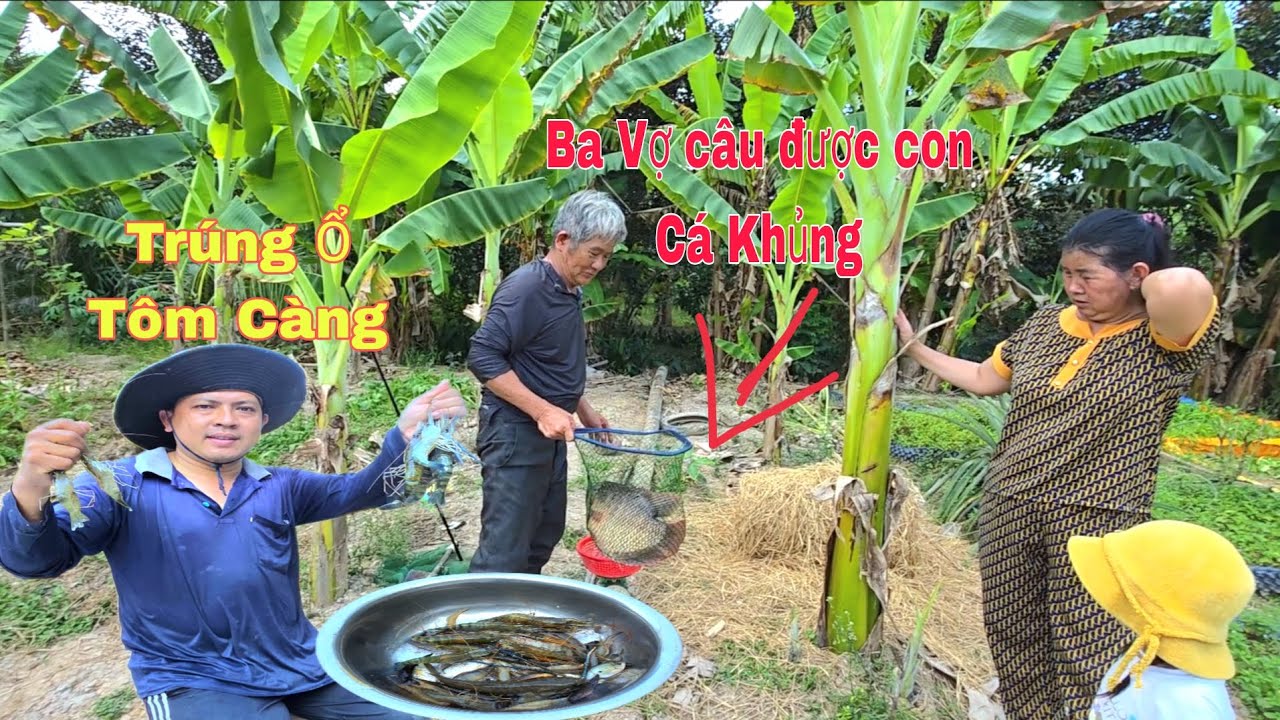 Ba Vợ Thu Phục Được Con Cá Khủng Trong Ao.Nguyễn Trúng Mánh Cái Lú Đầy Tôm Cá/NHMT