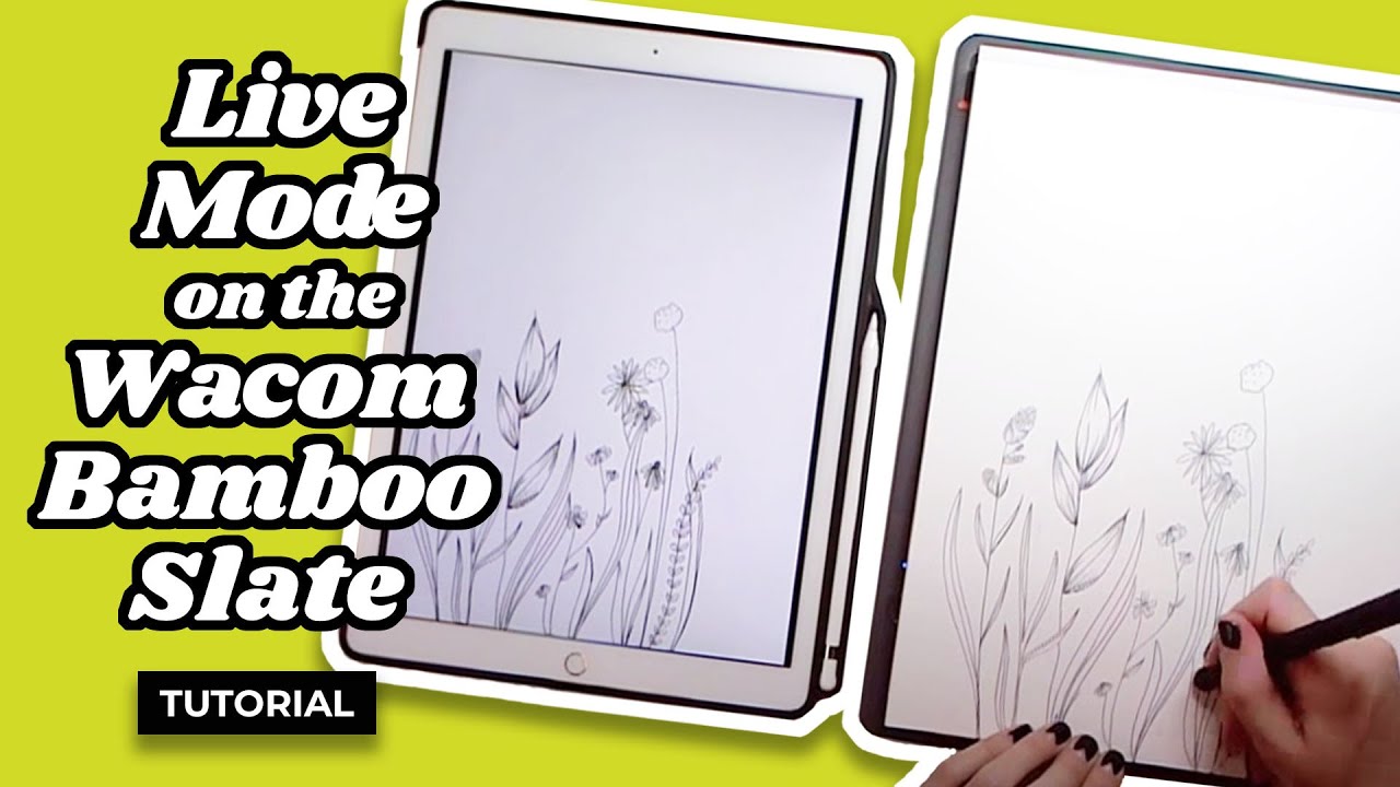 How to Use Live Mode on the Wacom Bamboo Slate