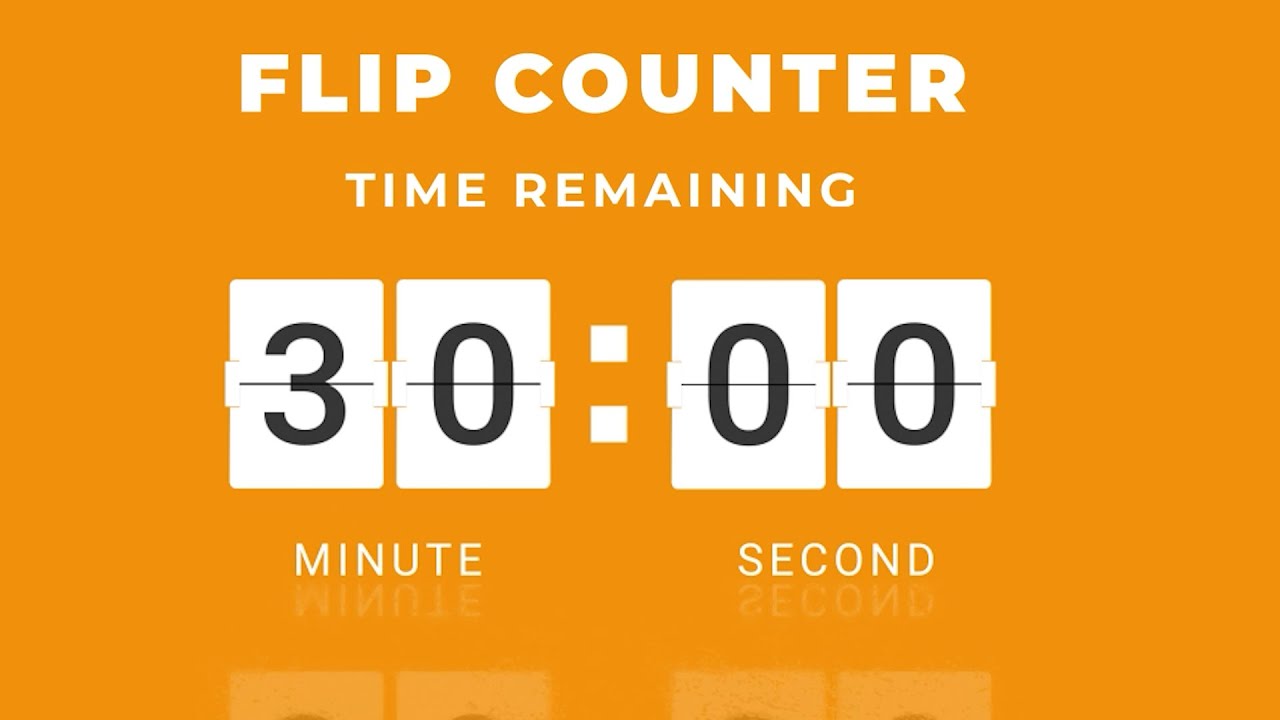 30 MINUTE TIMER/ COUNTER | NO ADS