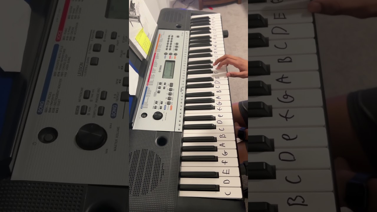 Wealth, Fame, Power- One Piece theme song