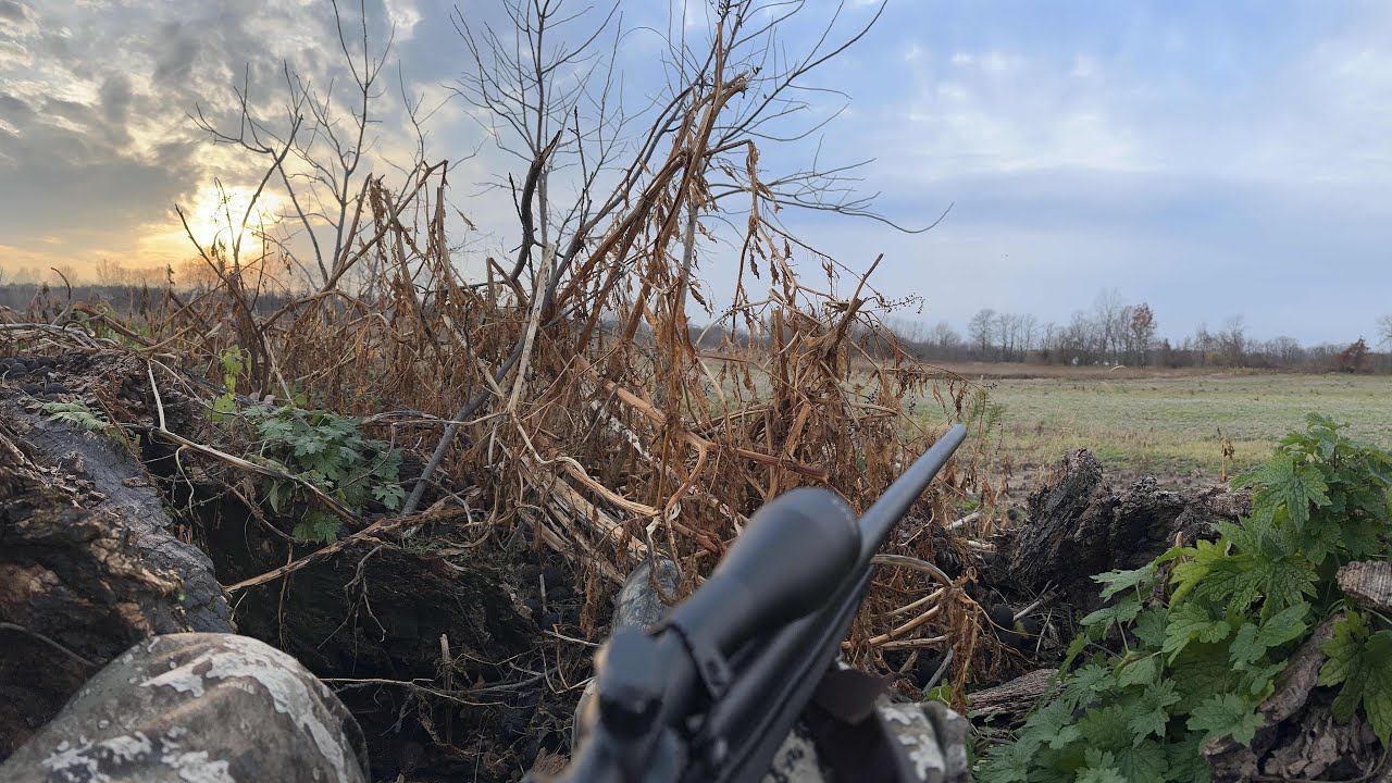 2024 Michigan Whitetail Gun Deer Season - Buck Tagged Out!