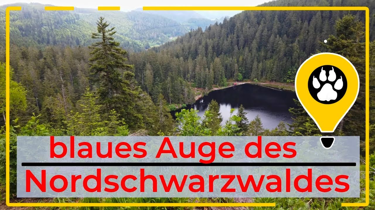 auf einsamen Pfaden zum Idyllischen Glaswaldsee in Bad Rippoldsau im Schwarzwald