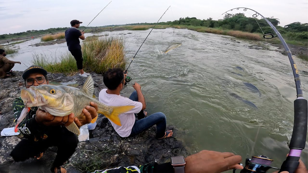 Best lure for mahasir fishing - wadis