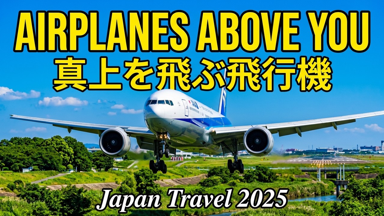 Airplanes Right Above You ! Experience Osaka Itami Airport | JAPAN 🇯🇵 | 4K