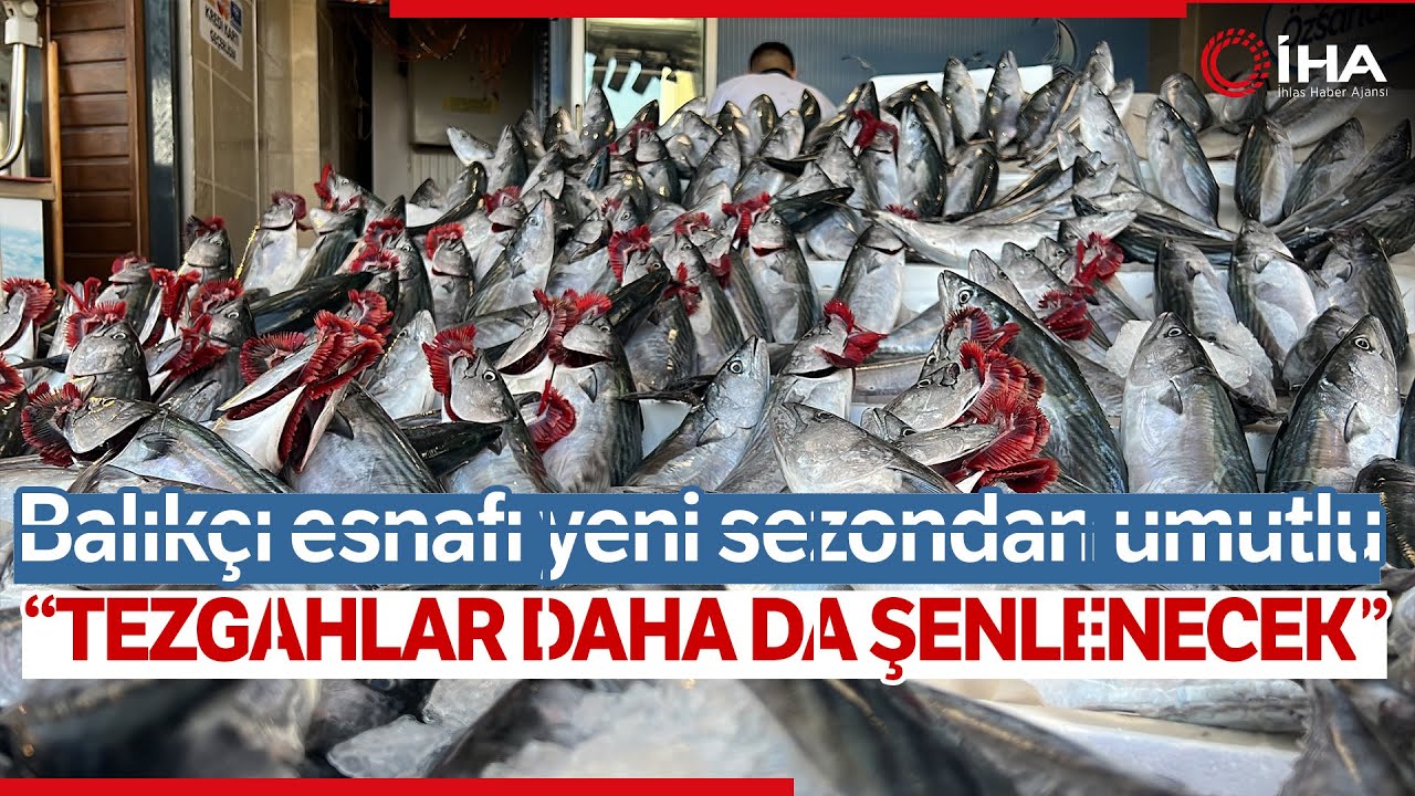 Özsandıkçı: Palamut Bu Yıl Kasapları Ve Tavukçuları Üzecek