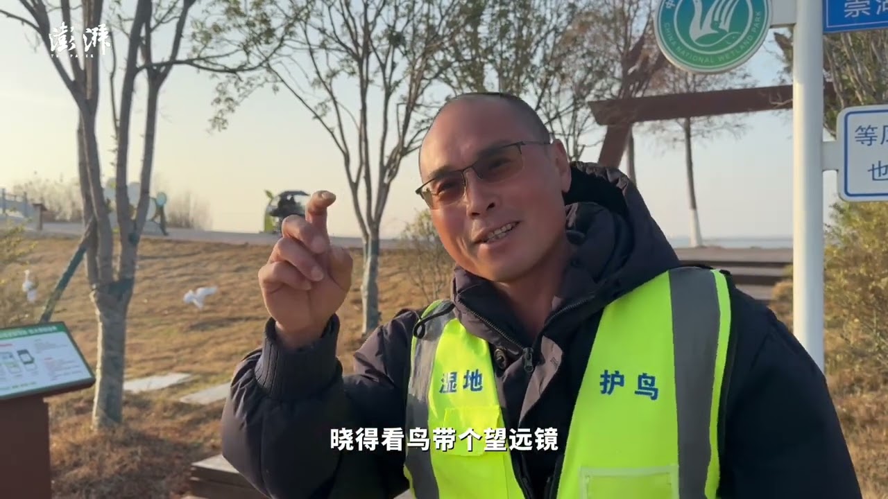 新春走基层丨崇湖湿地公园里的护鸟队员：春节轮班巡湖，鸟越来越多了