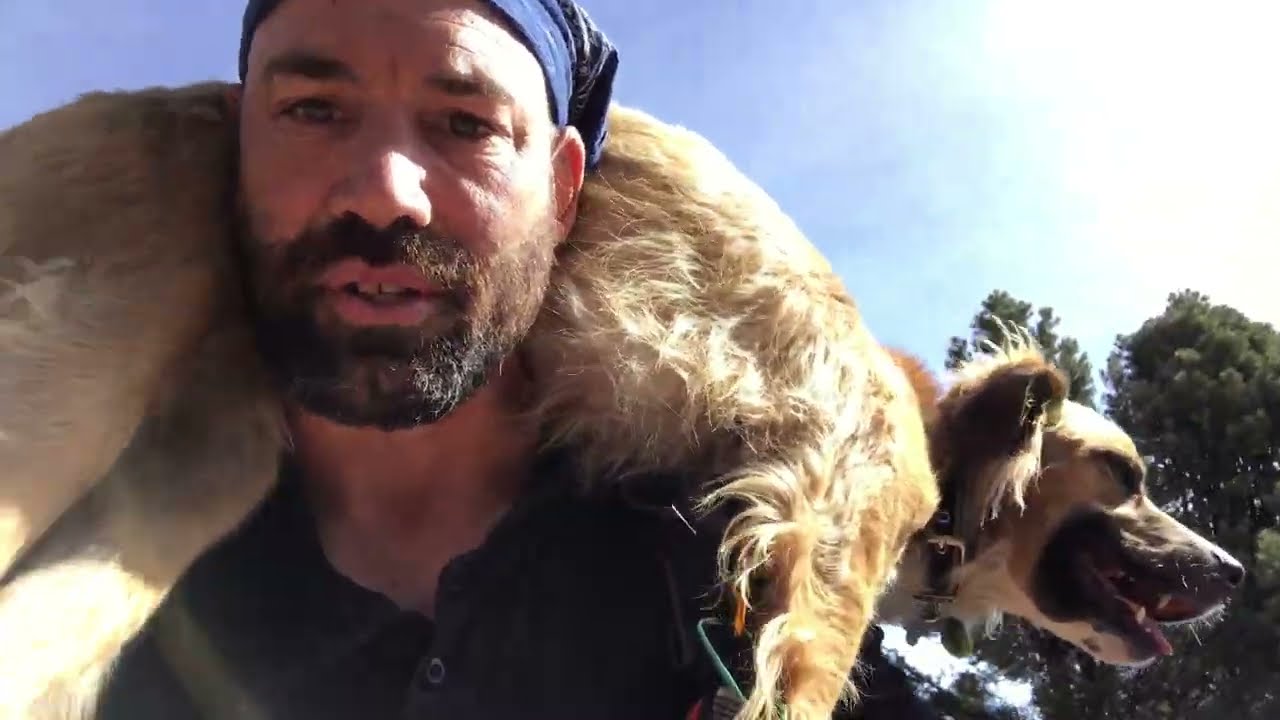 A PCT STORY - ENTIRE TRAIL, 3 MIN  (w/Dogs)