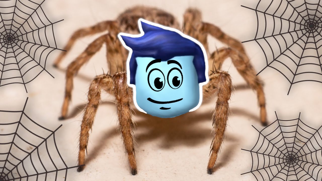 JESTEM PAJĄKIEM w ROBLOX Po Polsku! 😅 BlueJane Gra w Be a Spider Tycoon! Symulator pająka!
