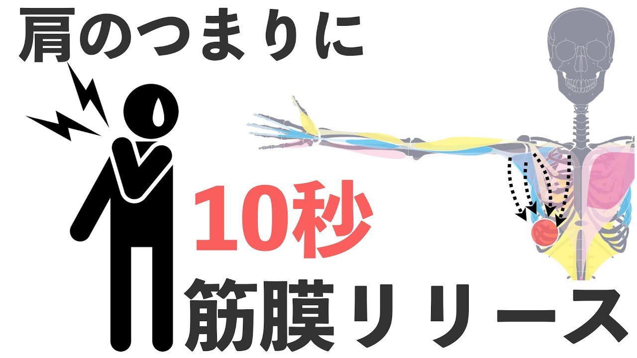 筋膜リリースで肩の周りをセルフで即効スッキリ！セルフケア用バレエ整体
