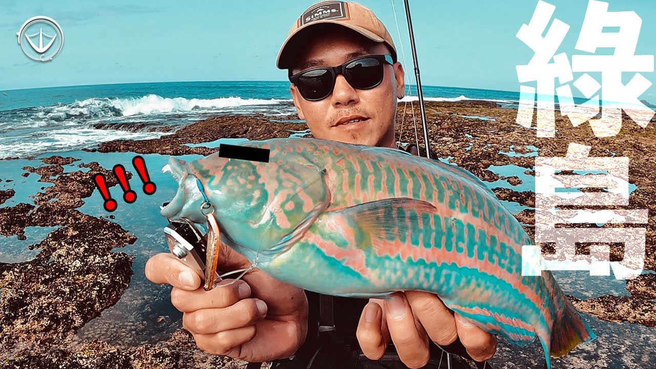 看好了！綠島只示範一次如何秒斷你的線！#鵝大人 #路亞 #綠島
